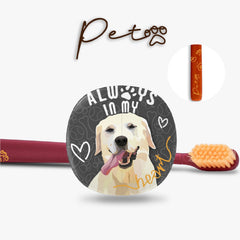 Flipper Diş Fırçası Saklama Kabı Fırça Seti