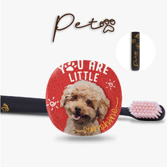 Flipper Diş Fırçası Saklama Kabı Fırça Seti