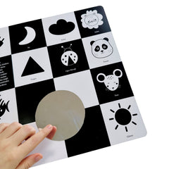 Sincap Kitap Genel Kültür Kitabım Büyüyorum