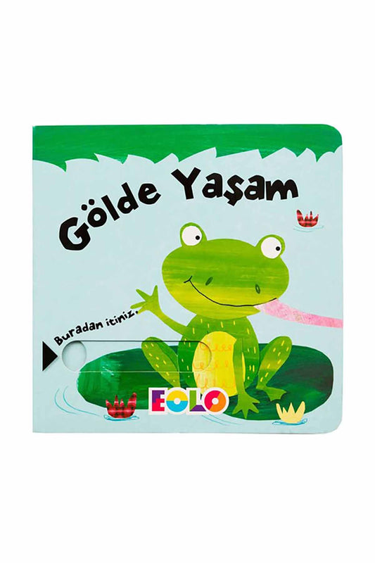 Eolo Gölde Yaşam