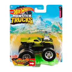 Hot Wheels Monster Trucks 1:64 Arabalar FYJ44