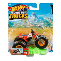 Hot Wheels Monster Trucks 1:64 Arabalar FYJ44