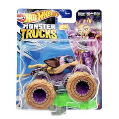Hot Wheels Monster Trucks 1:64 Arabalar FYJ44