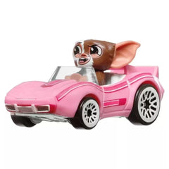 Hot Wheels Racerverse Tekli Arabalar HRT27