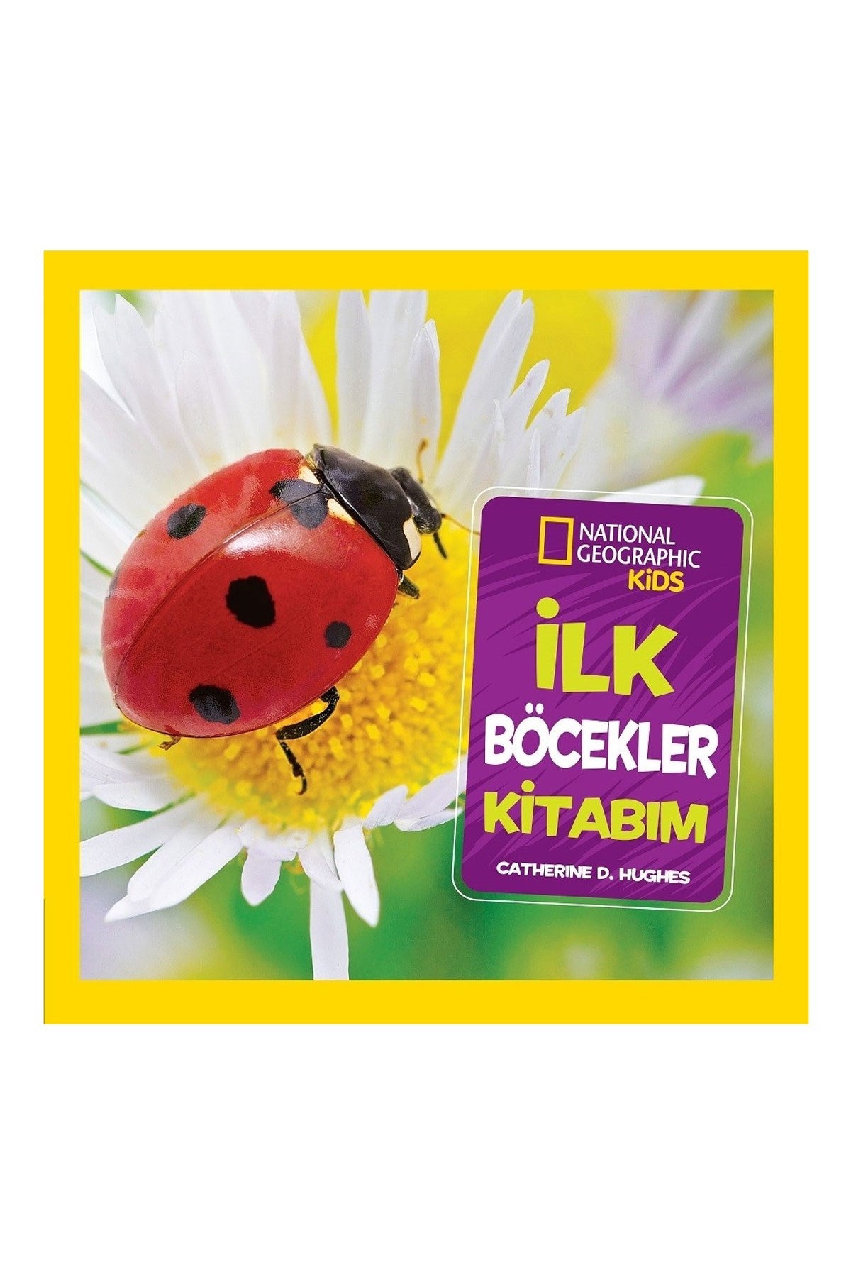 İlk Böcekler Kitabım