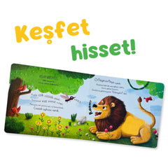 Sincap Kitap İlk Dokun Hisset Kitabım Ormana Dokun