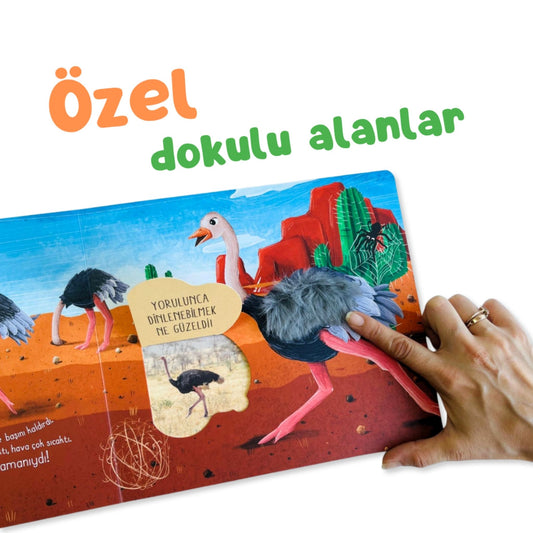 Sincap Kitap İlk Dokun Hisset Kitabım Çöle Dokun