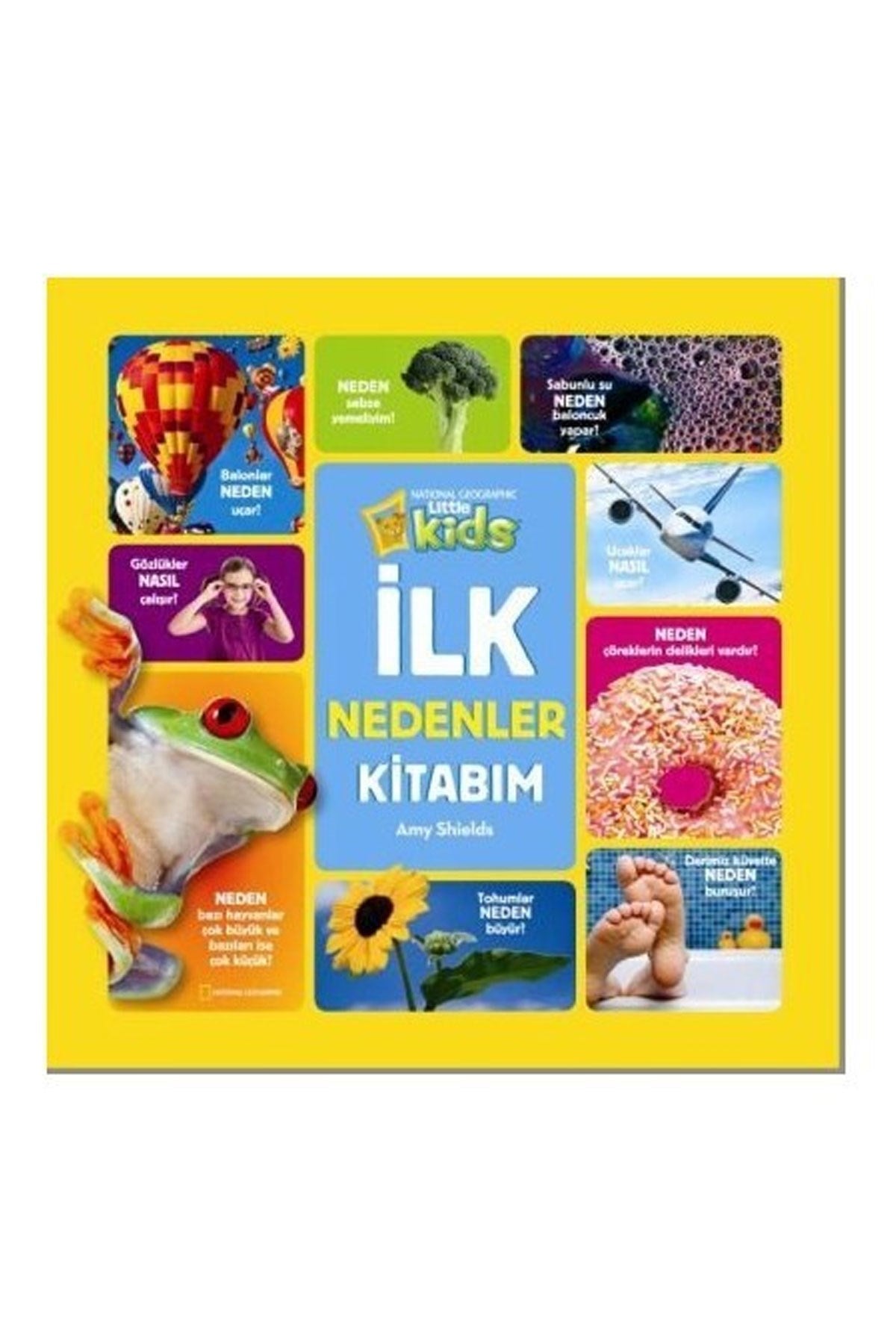 İlk Nedenler Kitabım