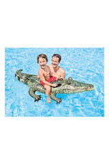Intex Gerçekçi Timsah Binici (170x86cm)
