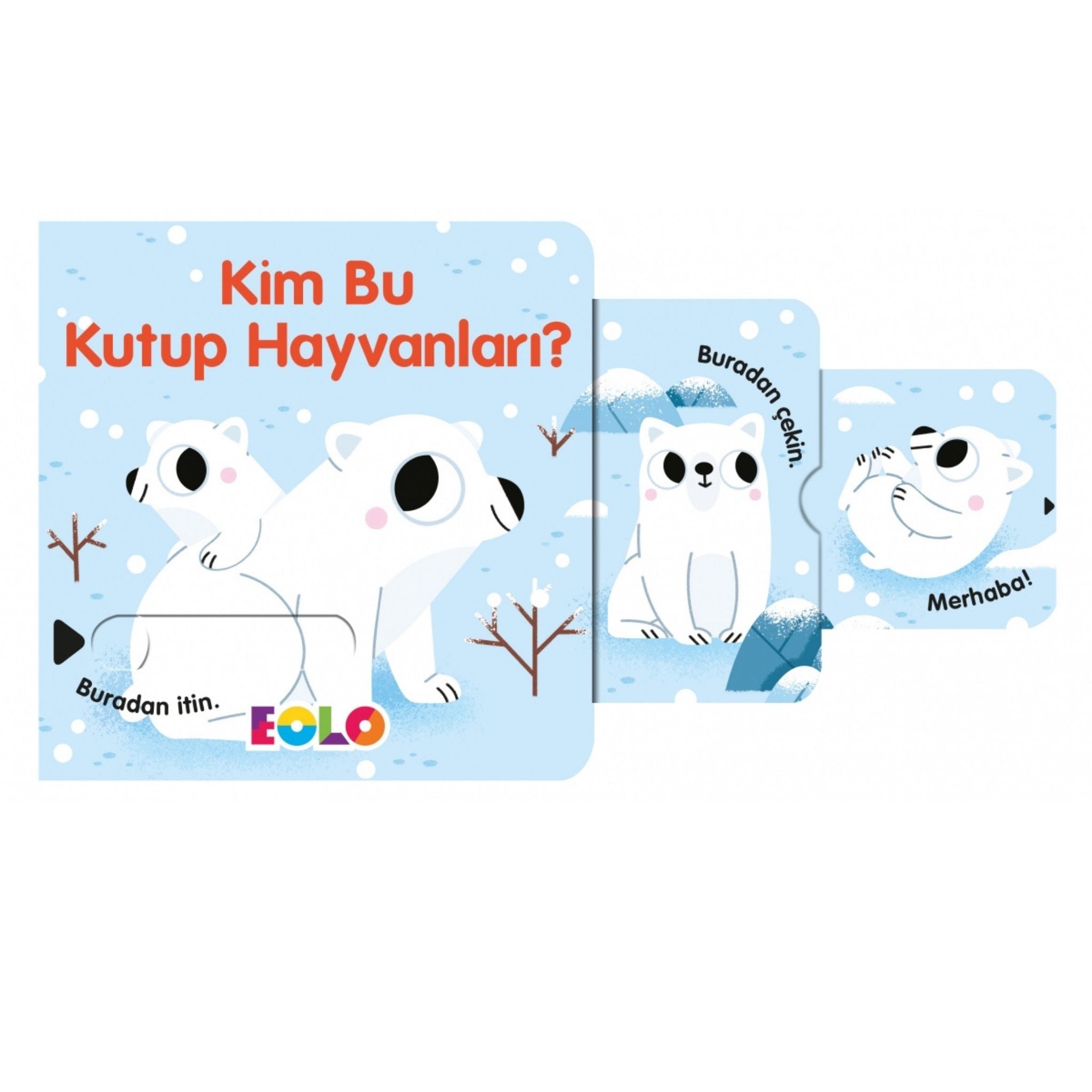 Eolo Kim Bu Kutup Hayvanları?