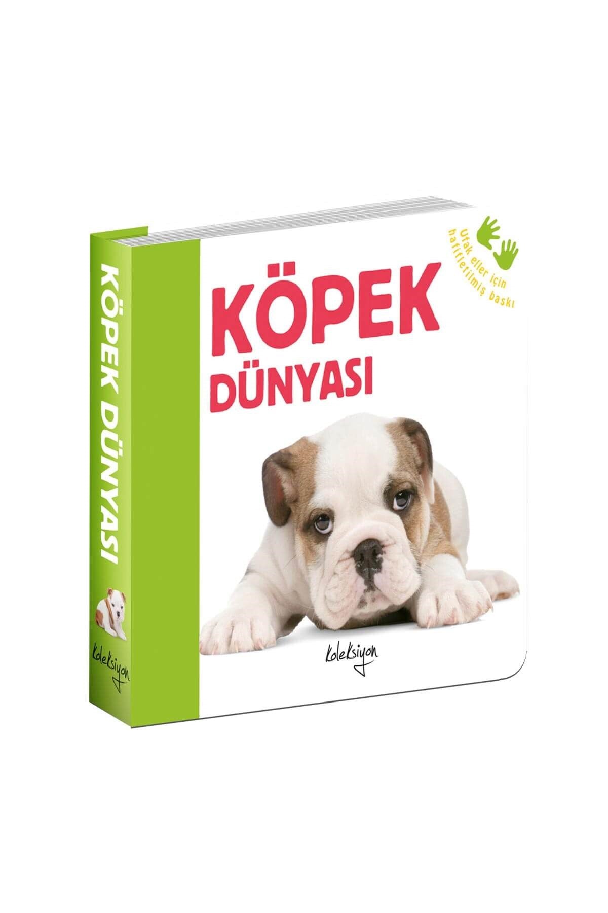 Köpek Dünyası - Welcome Baby