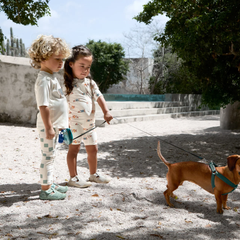 Lassig UV Korumalı Mayo Beach Dog Orange Dark Sea