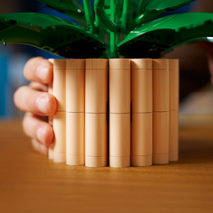 Lego Botanicals Barış Çiçeği 11504