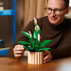 Lego Botanicals Barış Çiçeği 11504