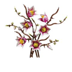 Lego Botanicals Manolya Dalları 11510