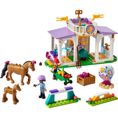 Lego Friends At Eğitimi 41746