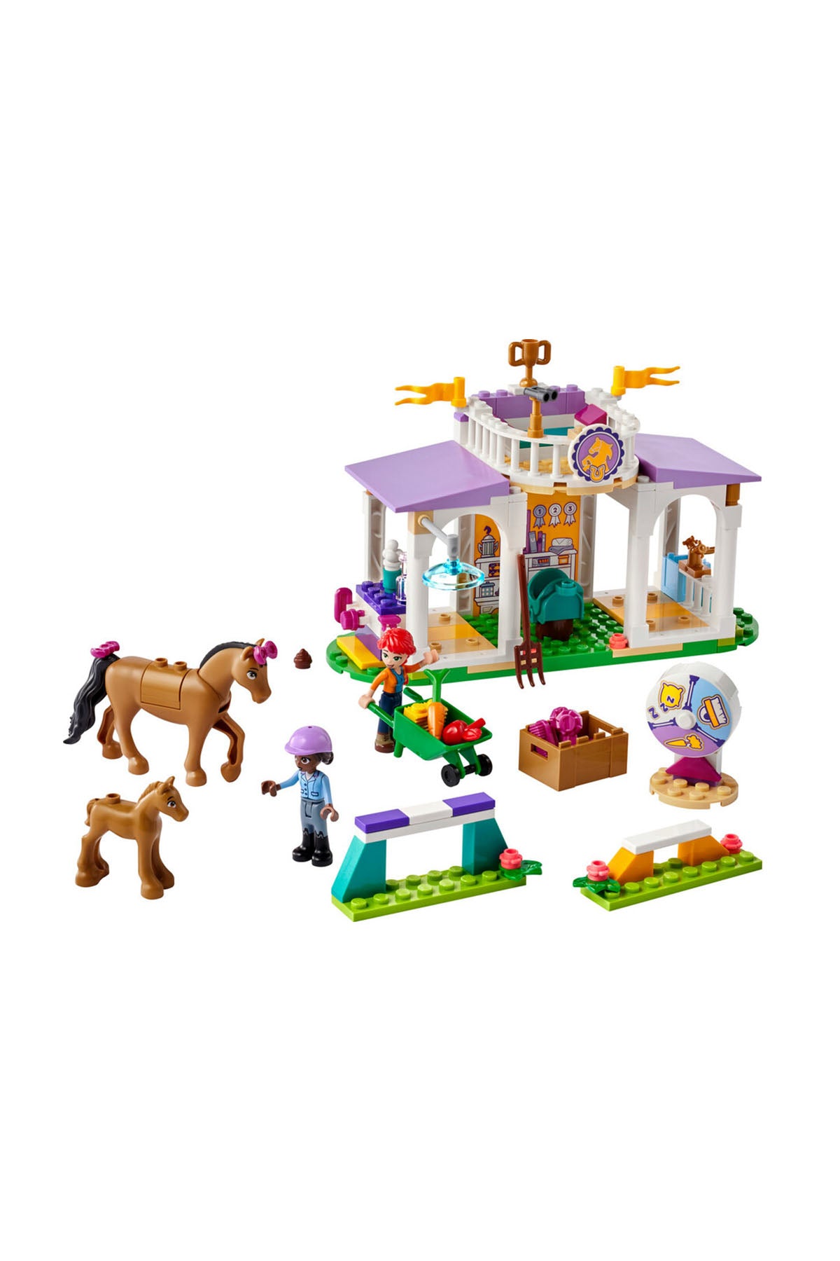 Lego Friends At Eğitimi - 41746