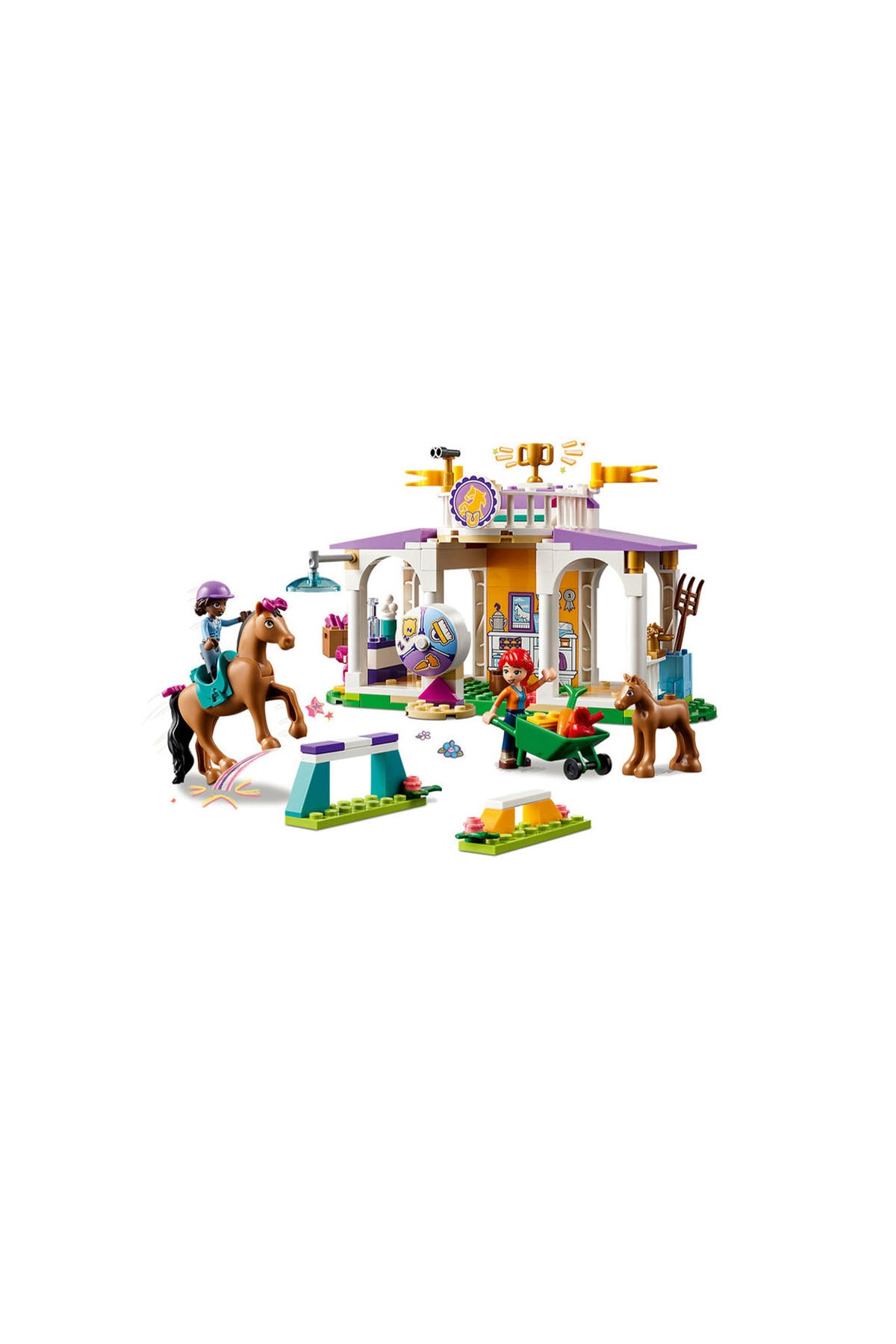 Lego Friends At Eğitimi - 41746