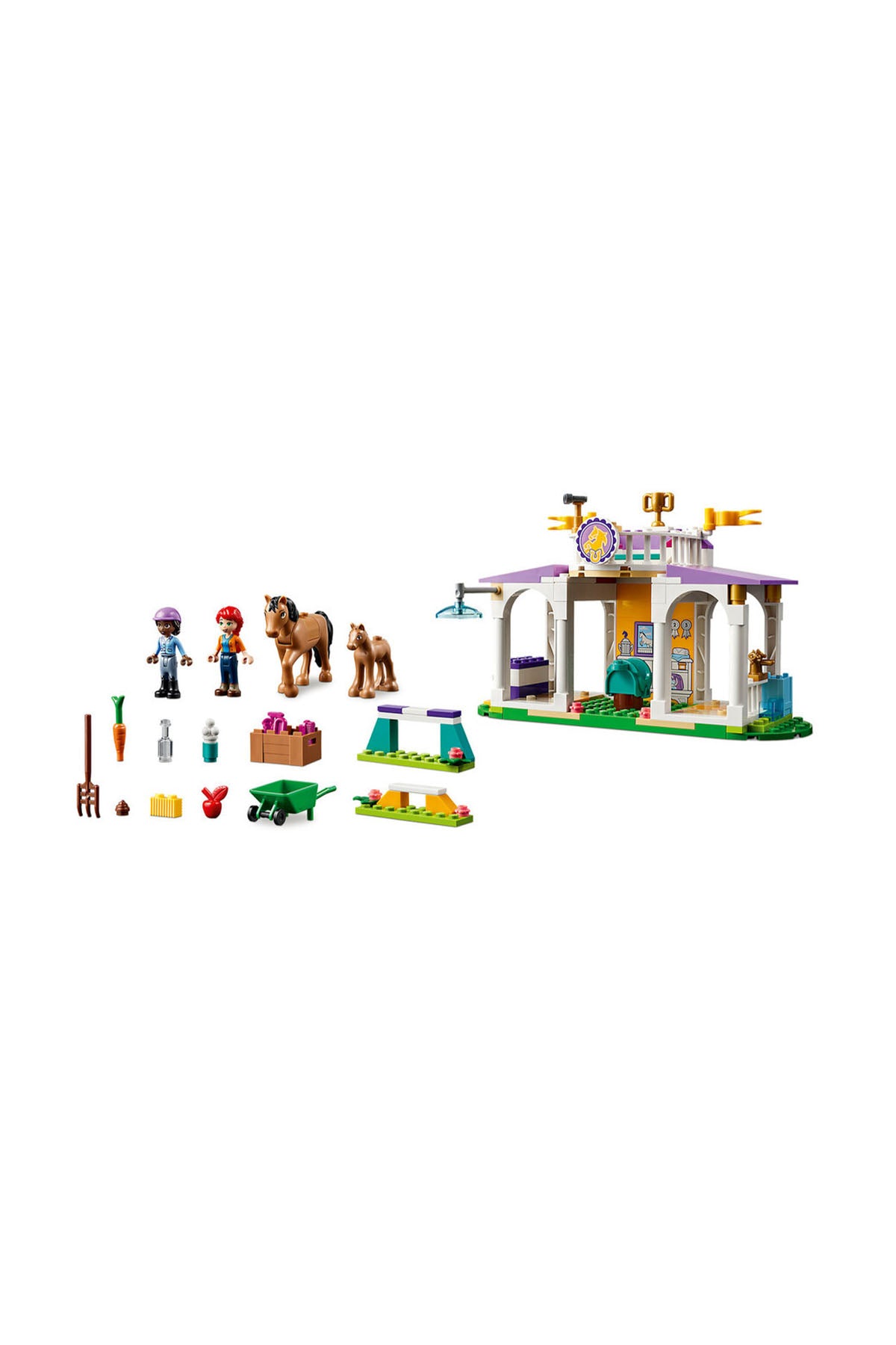 Lego Friends At Eğitimi - 41746