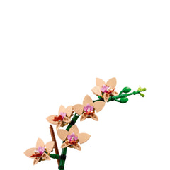 Lego Botanicals Mini Orkide Modeli 10343