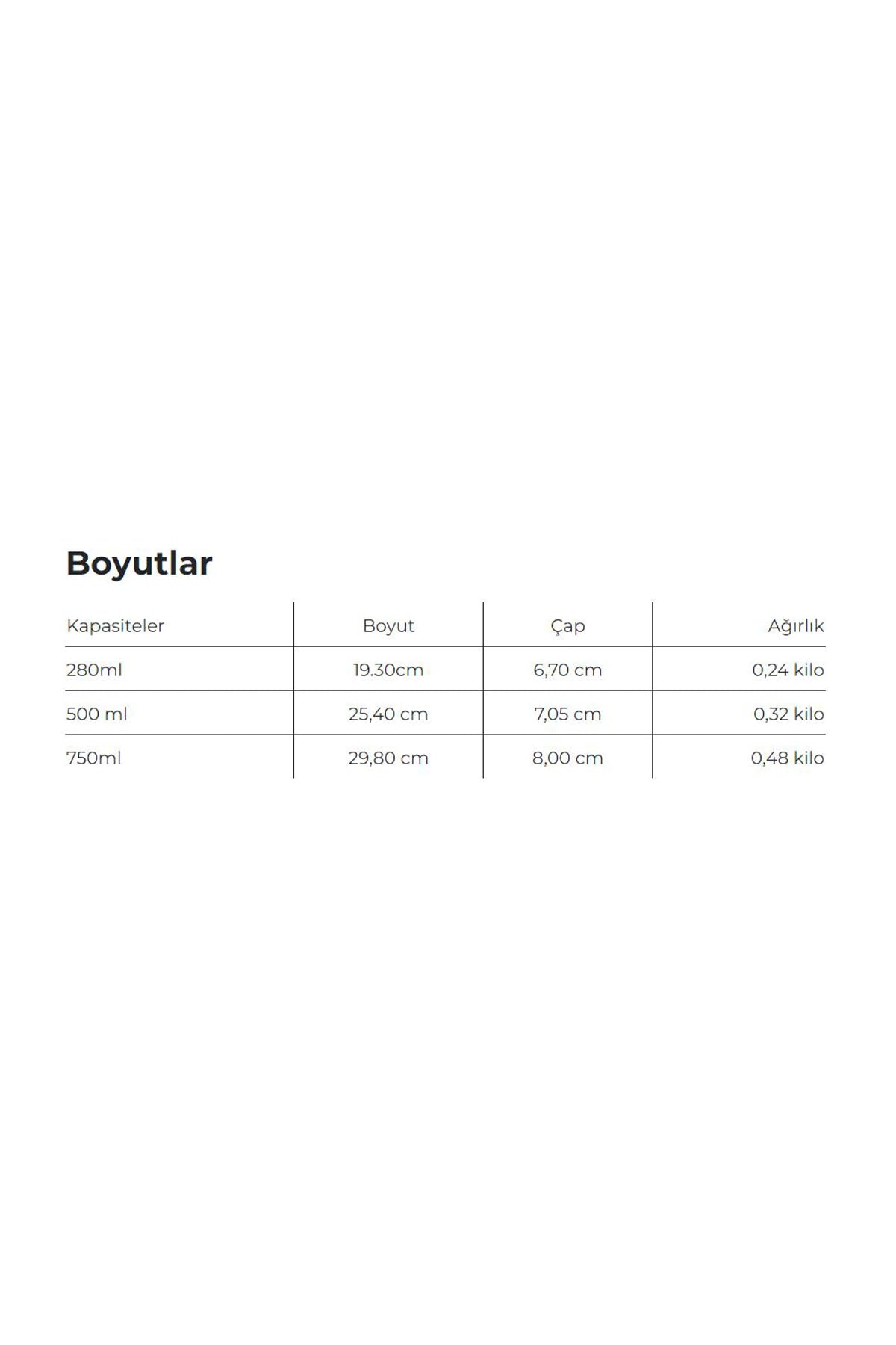 Les Artistes Paris Isı Yalıtımlı Çelik Termos 500ML Eden