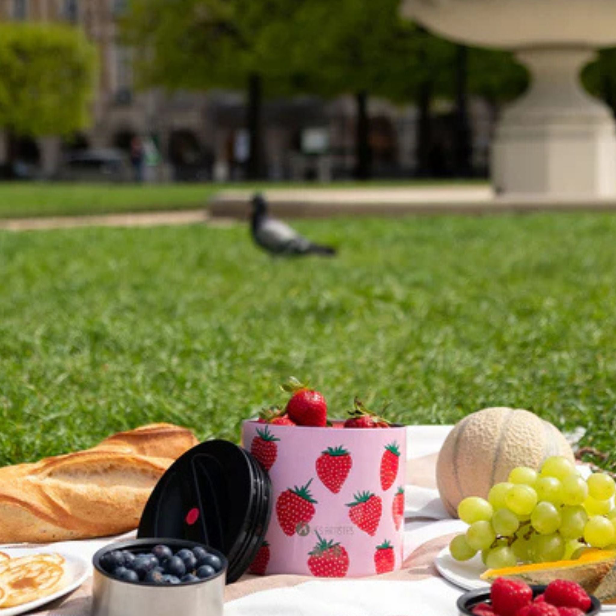 Les Artistes Paris Isı Yalıtımlı Çelik Yemek Termosu 700ml Strawberry