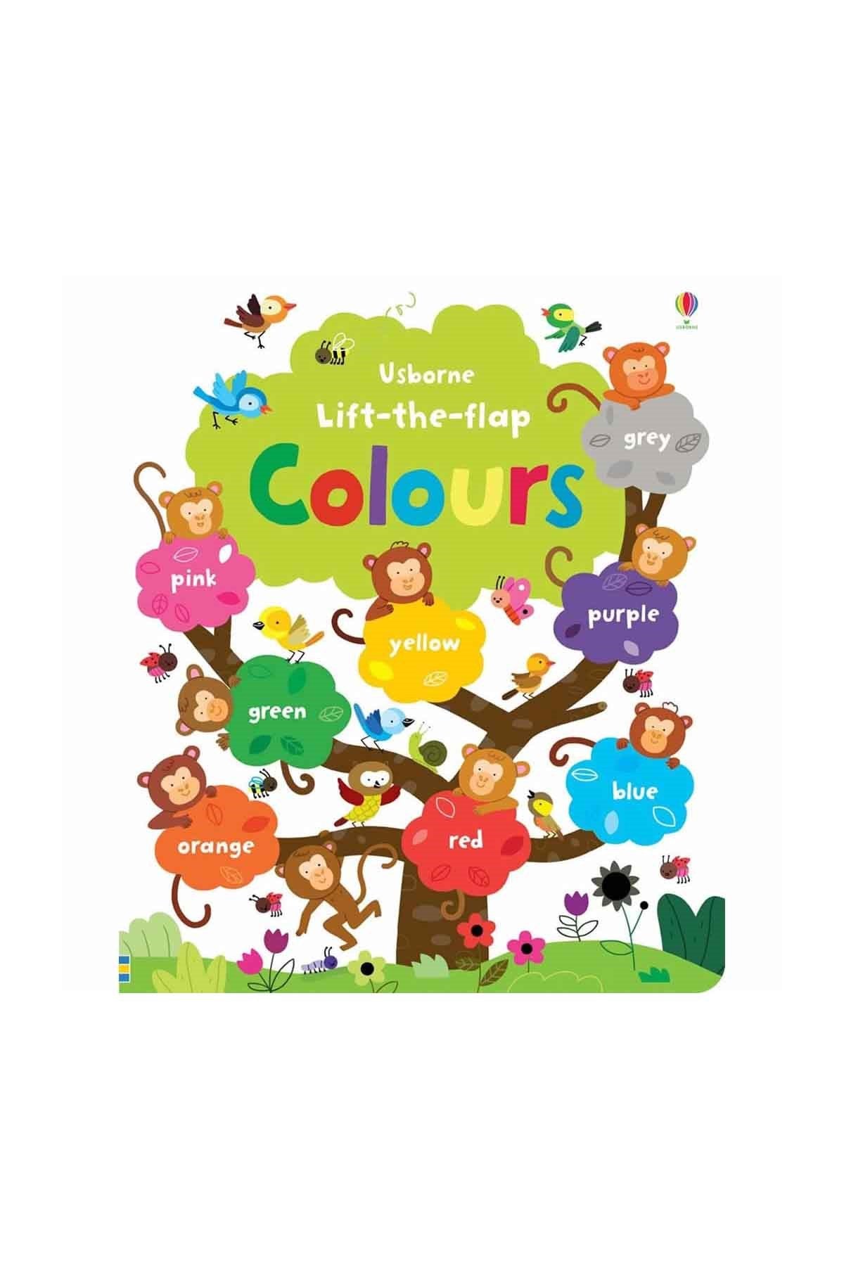 The Usborne Lift The Flap Colours Book - Welcome Baby