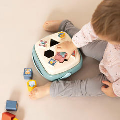 Little Smoby Bul ve Tak Şekil Oyunu