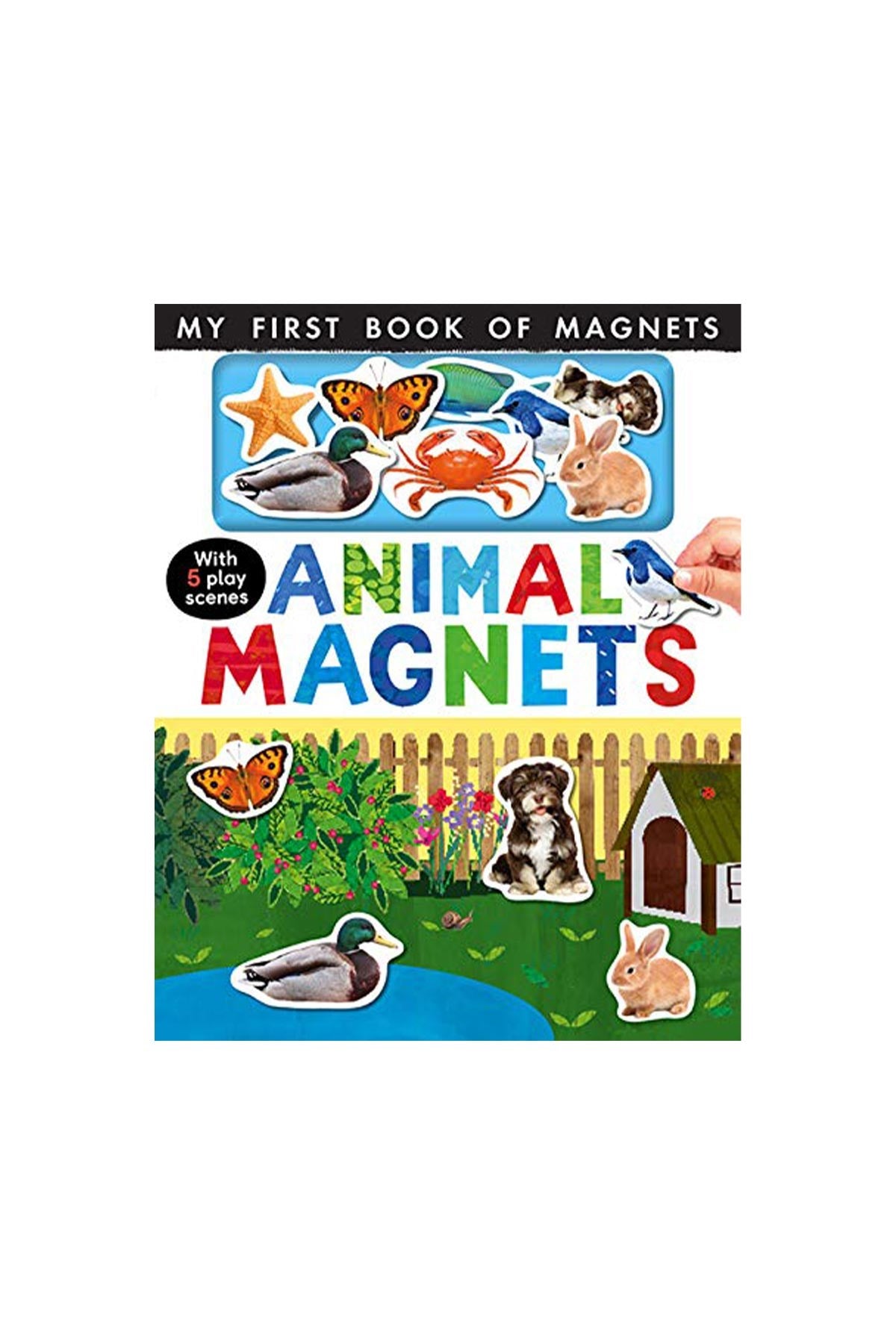 LT - Animal Magnets