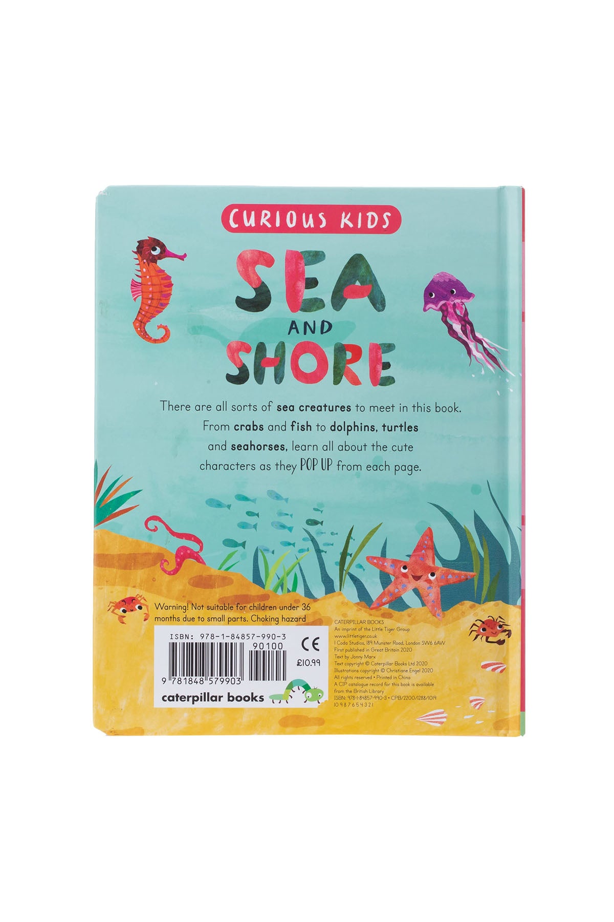 LT - Curious Kids: Sea And Shore