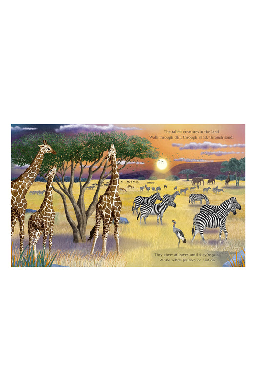 Caterpillar Books The Journey : Natures Greatest Adventure