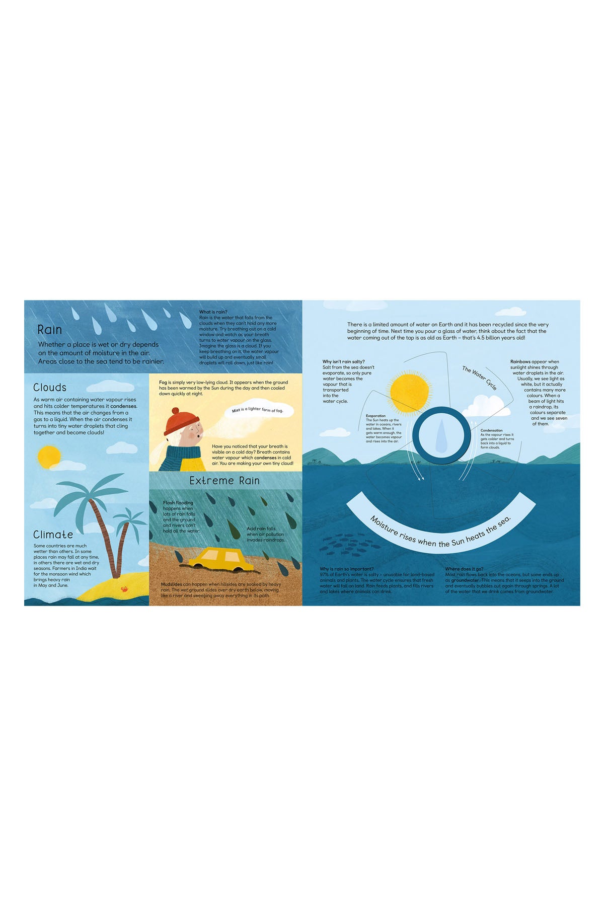 LT - Turn And Learn: Weather