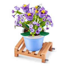 Max Saksı Bitkileri Sürprizi