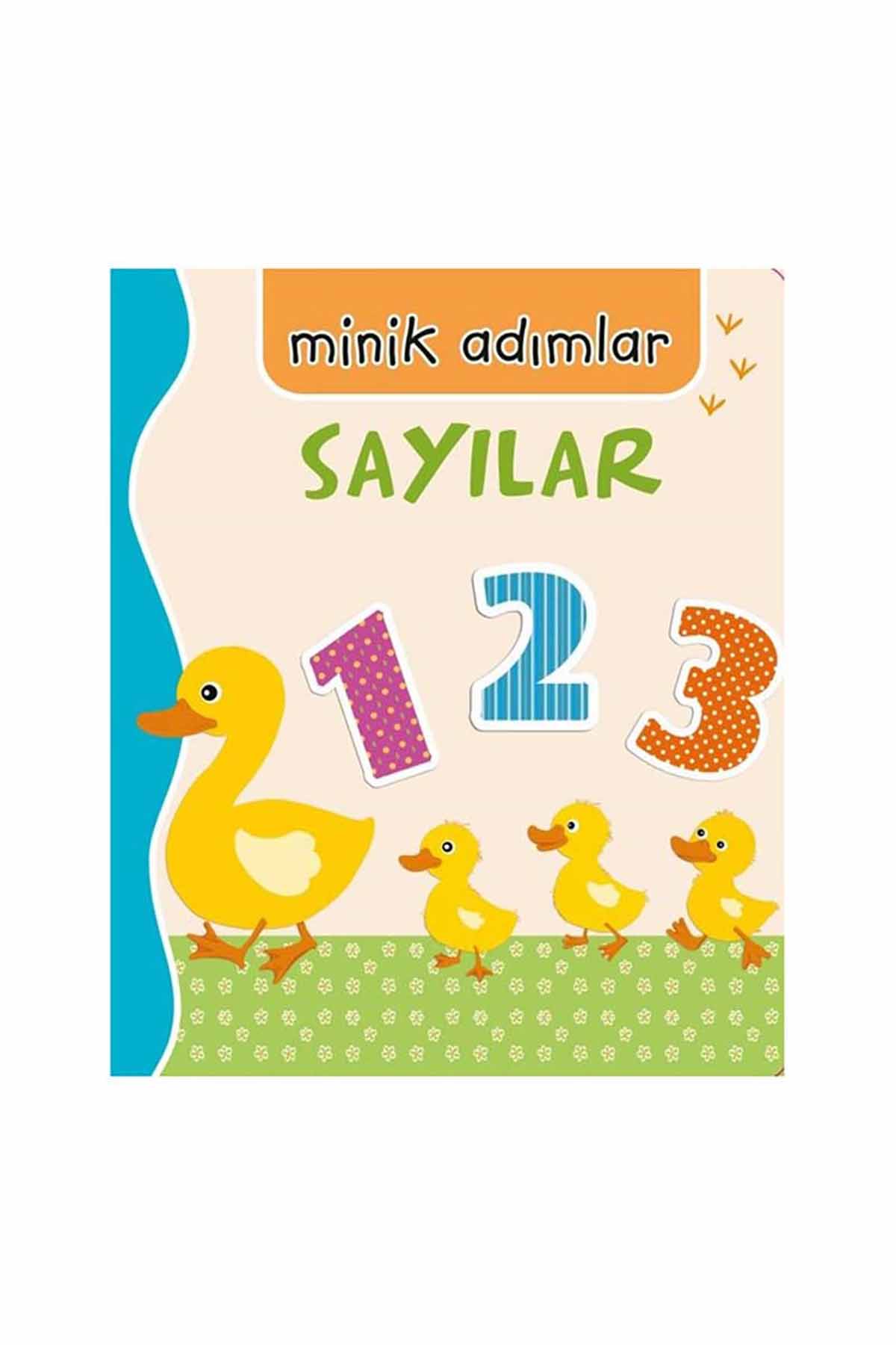 MİNİK ADIMLAR - SAYILAR