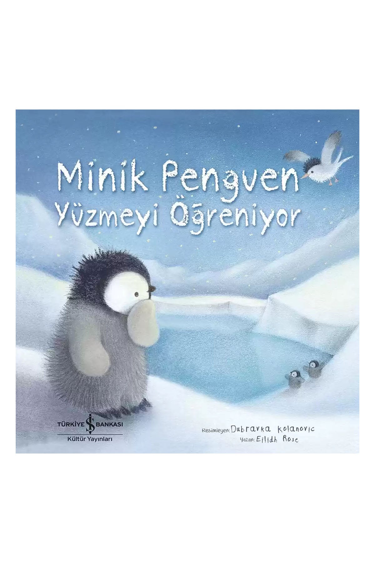 Minik Penguen Yüzmeyi Öğreniyor