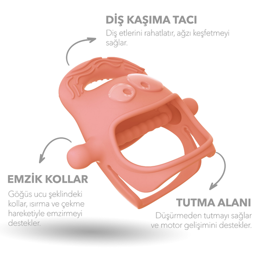 Mochi Diş Kaşıyıcı Somon
