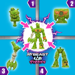 MrBeast Hybrids Tekli Paket 24901