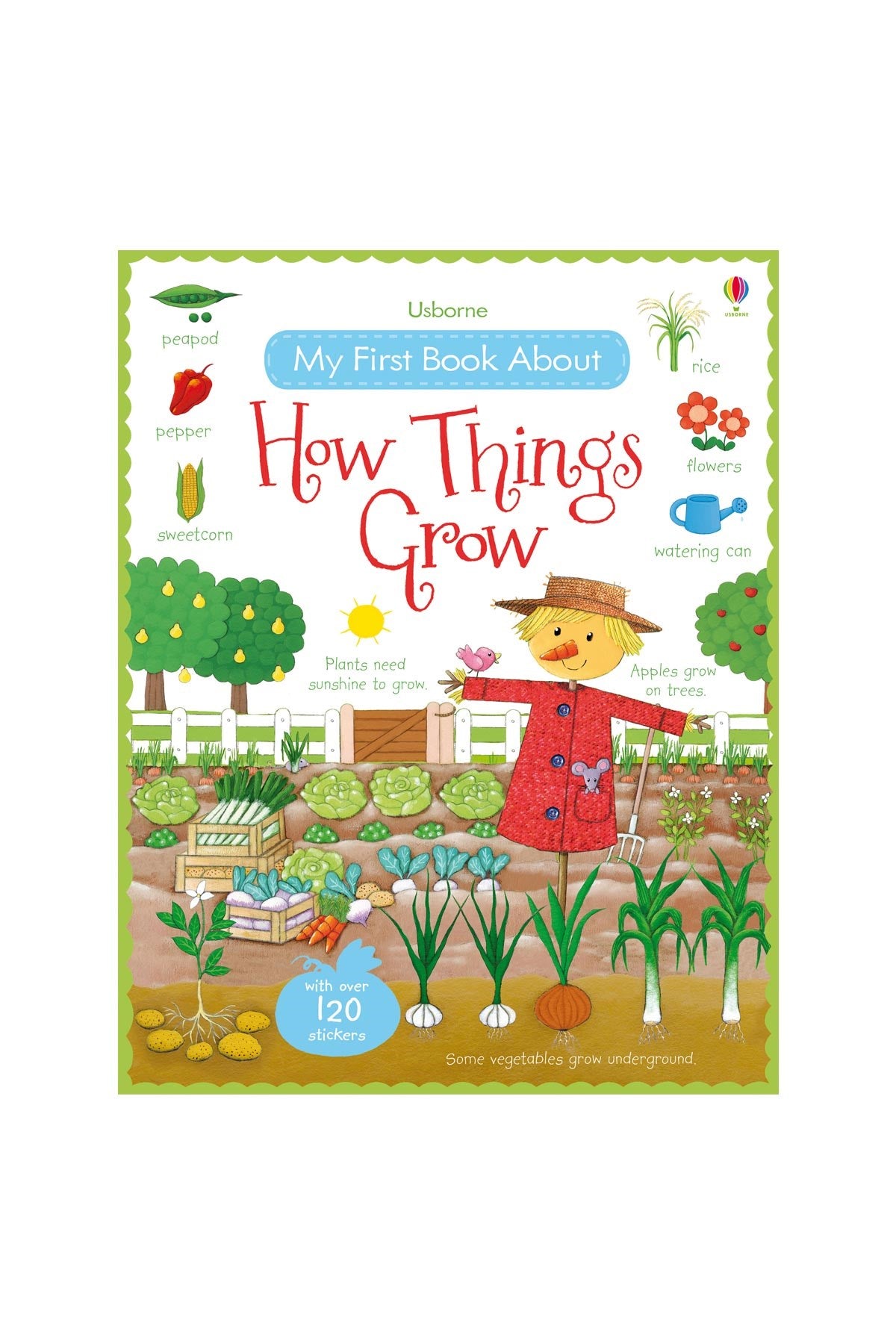 MY FIRST BOOK ABOUT HOW THINGS GROW