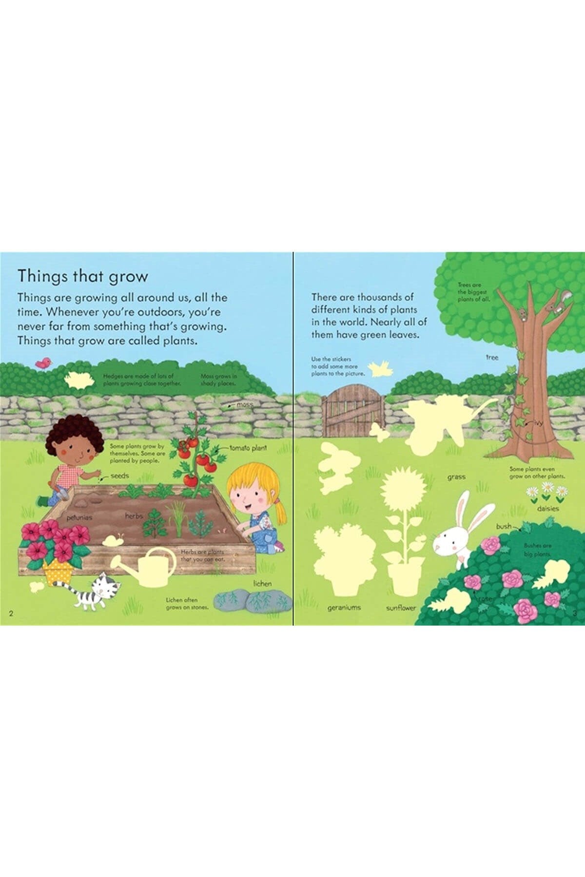 MY FIRST BOOK ABOUT HOW THINGS GROW