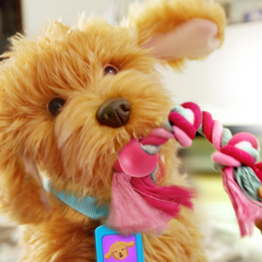 My Fuzzy Friends Sevimli Labrador Moji Türkçe