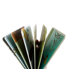 Sincap Kitap Başladı? Her Şey Seninle Başladı Set 1