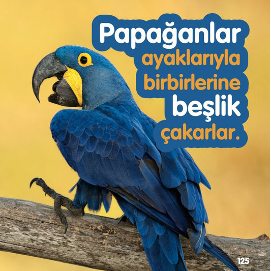 National Geographic Kids Garip Ama Gerçek Hayvanlar
