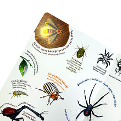 Sincap Kitap Ne Sorsan Bilir Minik Benim İlk Böcekler Kitabım