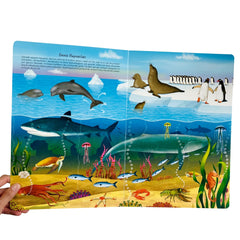 Sincap Kitap Ne Sorsan Bilir Minik İlk Büyük Hayvanlar Kitabım