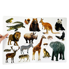 Sincap Kitap Ne Sorsan Bilir Minik İlk Büyük Hayvanlar Kitabım