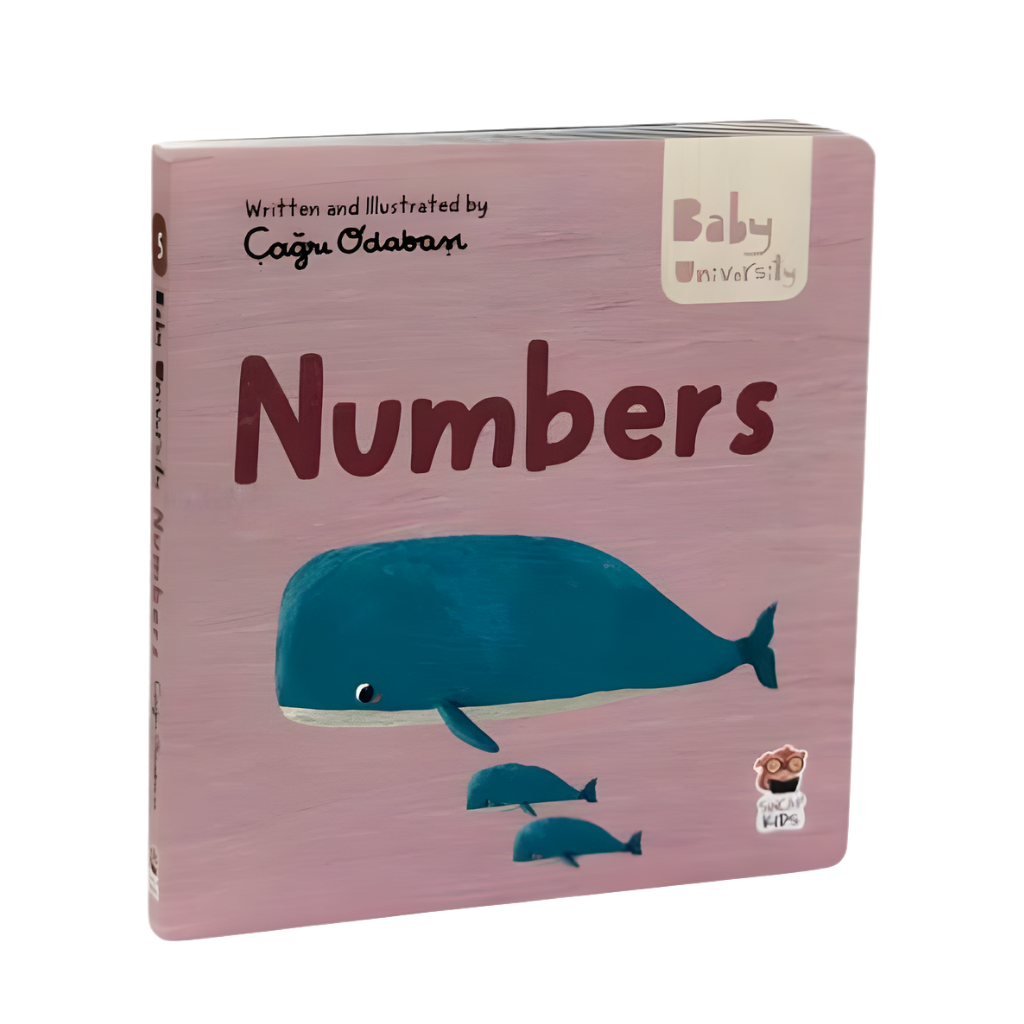 Sincap Kitap Numbers Baby University First Concepts Stories 2