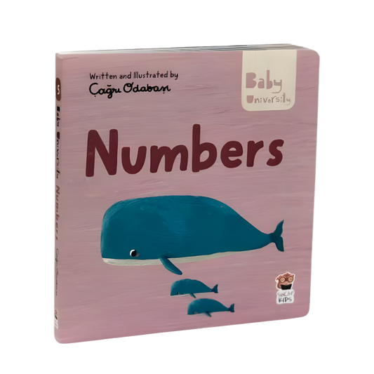 Sincap Kitap Numbers Baby University First Concepts Stories 2