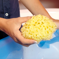 OkBaby Doğal Banyo Süngeri Orta