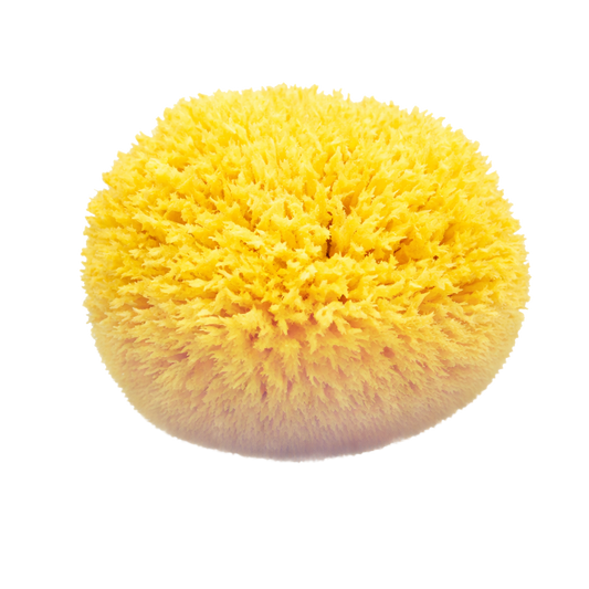 OkBaby Doğal Banyo Süngeri Orta