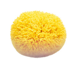 OkBaby Doğal Banyo Süngeri Orta